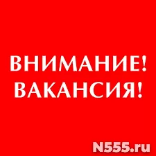 Подработка без опыта / На дому фото